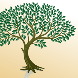 IVC mature tree no word