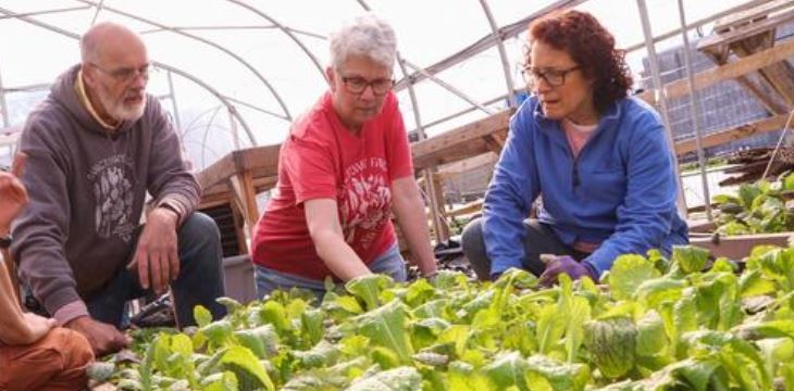Retirees turn over new leaf serving at North Philadelphia Sanctuary Farm